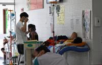 Florida Dengue Outbreak Hits 252 Local Cases, Most for Any State in Decades, as Polk Becomes Seventh County