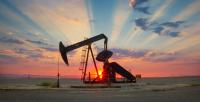OPEC+ Holds November Oil Output Targets in Major Energy Move, Vienna