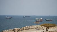 Attacks on oil infrastructure endangering marine life in Persian Gulf, research finds