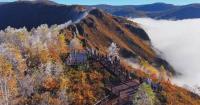 Greater Khingan Range's autumn splendor draws crowds during National Day holiday