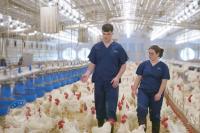 Young people in agri: How one placement opened new doors for two young farmers