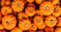 Illinois pumpkin production rises ahead of weather-challenged harvest