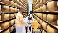 Parmigiano Reggiano 'cheese banks' suffer in extreme temperatures