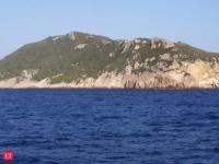 Italy eradicated black rats from Zannone in 2007; nine years later, Scopoli's shearwater nesting pairs had nearly tripled from 27 to 80 on the Mediterranean island