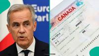 Canada lists 3 types of partners eligible for an open work permit after joining their spouse