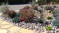 California city boosts lawn rebate to $4 a foot to swap water-guzzling grass for drought-tolerant yards