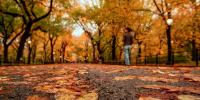 Gloomy Sunday brings rain to East before chilly stretch grips millions with first October frost