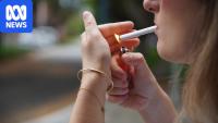Legal cigarette sales, Quitline calls surge after state crackdown