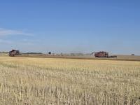 Saskatchewan harvest closes in on two-thirds complete