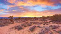 California’s desert mystery: missing men found in shallow graves as investigations continue into their disappearances