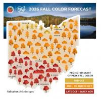 Vibrant fall colors are in Ohio’s October forecast