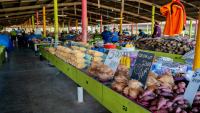 Women vendors gain better business opportunities