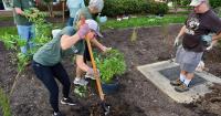 Wildlife Conservancy, HOAs Begin Planting Donated Native Species