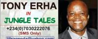 Nigeria’s Power Problem Is Real; So Is The Progress Under Tegbe, By Tony Erha