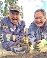 Northwest tribes practiced a different ‘agriculture’