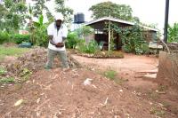 Why farmers should embrace composted organic manure 