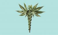 Owner of Russellville-based medical cannabis applicant optimistic about application approval in 2027