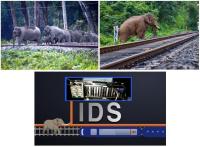 Technology, vigilance helped save 255 elephants in 2026: NFR
