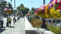 Victoria ranked world’s top small city for sustainable tourism