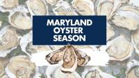 Maryland Oyster Season: When To Buy, Eat And Harvest Oysters
