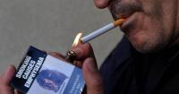 Legal cigarette sales soar after black market crackdown