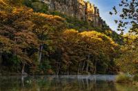 This Hill Country Park Is One of the Best Fall Foliage Spots in Texas—Just 3 Hours From Austin