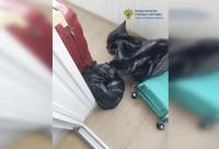 Russian media: The dismembered bodies of businessman Mamuka Tsereteli’s ex-wife and 19-year-old daughter were found in Moscow - a Georgian businessman is suspected of the murders