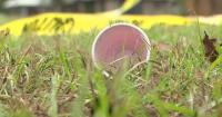 Vienna deadly mass shooting: 17-year-old arrested in connection with case
