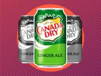 Canada Dry Just Brought Back 2 Fan-Favorite Seasonal Flavors