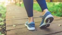 African American Wellness Walk raises awareness and collects donations