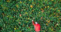 September recap: Top 10 agriculture innovation, startup, business and trend stories