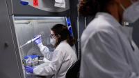 Plague outbreak in Russia? Hundreds quarantined after death of lab researcher