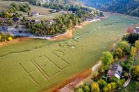 Locals cry for help in saving drying up French-Swiss lake