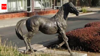 An $80,000 statue of an 1886 Kentucky Derby winner was stolen in California; thieves sawed through its legs and left one hoof behind