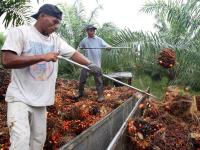 Swiss alliance calls for referendum against Malaysia trade deal
