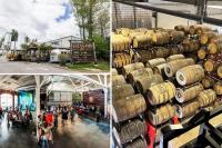 These Are the 20 Most Popular Craft Beers in Maine Right Now