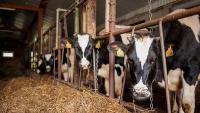Foreign workers more vital to Lithuania's agri-sector