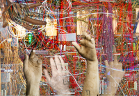 There is a major policy opening for worker power on technology right now