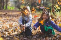2026 Guide to Alabama’s Peak Fall Foliage Colors