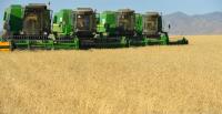 Mongolia Harvests Majority of Wheat, Vegetables