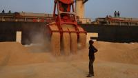 India probes soybean imports over 'tax evasion'