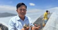 Vietnam shrimp farmer earns $1.5 million a year with high-tech covered ponds