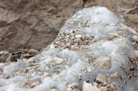Slovenian glacier could disappear in days, researchers say