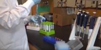 Vermont colleges join forces to research forever chemicals impact on plants and animals