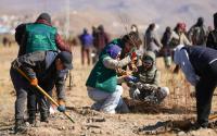 Tree-Planting Campaign Continues Under ‘Billions of Trees’ National Movement