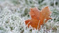 Met Office weather maps show exact date UK temperatures to plunge to 4C this week
