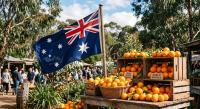 Austrade campaign drives major sales uptick for Australian oranges in South Korea