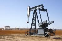 OPEC+ Holds Oil Output Steady as Supply Risks Intensify, Vienna