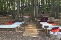 Reasons to be Cheerful: Thank You for the Music by Vicky Edwards