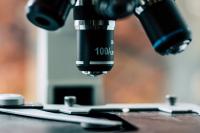<![CDATA[Russian Lab Worker Dies in Suspected Pneumonic Plague Case]]>